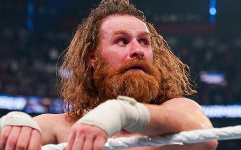 WWE Knew Sami Zayn Would not Final As A Prime Man