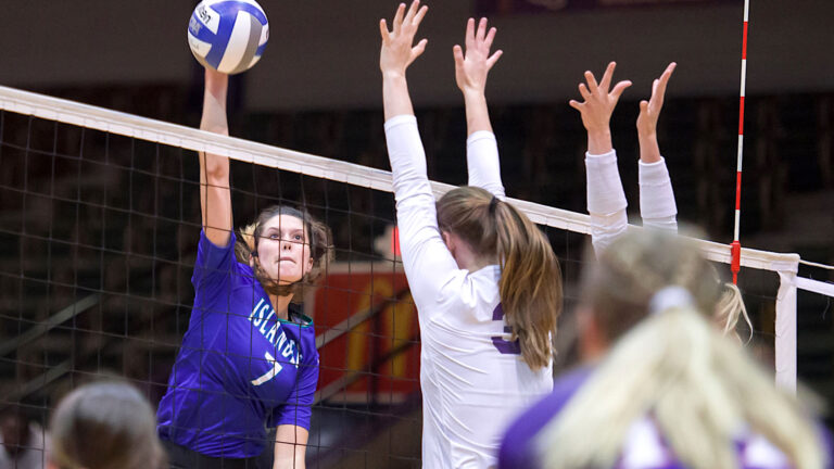 How Taking part in Volleyball Boosts Pupil Engagement and Tutorial Efficiency