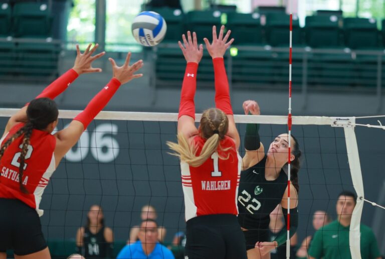 NCAA volleyball: Stanford sweeps Rice; huge wins for Abilene Christian, Portland State