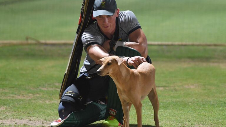 PAK vs SA, World Cup 2023: Maharaj-Shamsi discover rhythm within the nets; Van der Dussen spends time with Chepauk canines