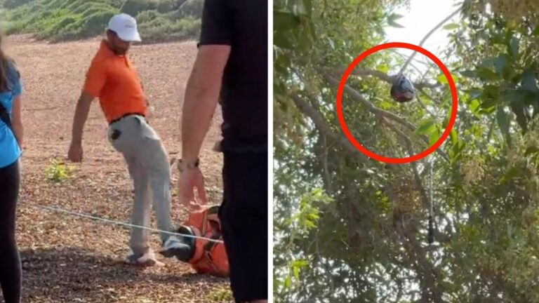 Joost Luiten will get three golf equipment caught in a tree, video golf meltdown, DP World Tour Championship, newest, updates