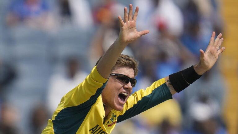 Adam Zampa goes previous Hogg for many wickets by an Australian spinner in a single ODI World Cup