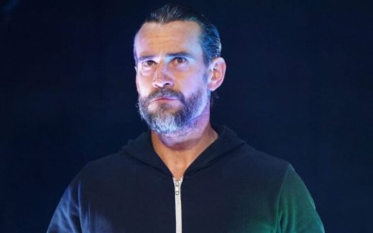 One other Former Co-Employee Comes Ahead To Defend CM Punk