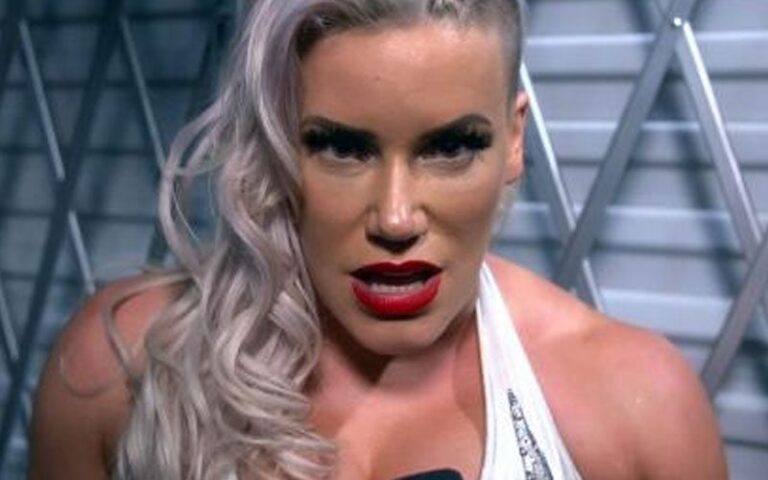 Ex-WWE Star Taya Valkyrie Refutes Accusations of Being Low cost in Stolen Sun shades Controversy