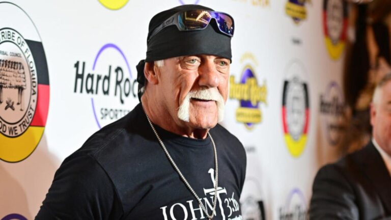 WWE legend Hulk Hogan helps rescue teenage lady concerned in automobile crash: ‘He has an enormous coronary heart’