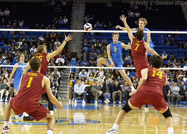 UCLA, Loyola males win; Vibe will get Professional Volleyball sweep