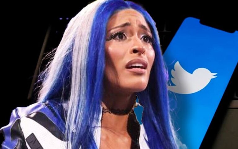 Zelina Vega Discloses Purpose For Deleting Twitter Account