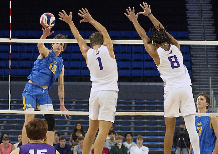 Ball St., Belmont Abbey win males’s titles; Orlando tops Grand Rapids in Professional Volleyball