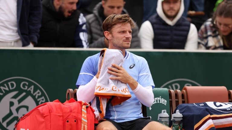 French Open 2024: Belgian Goffin slams partisan crowd, seeks motion