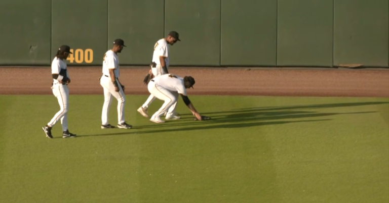 And Then One Individual Was Like, “Is {That a} Turtle?’”