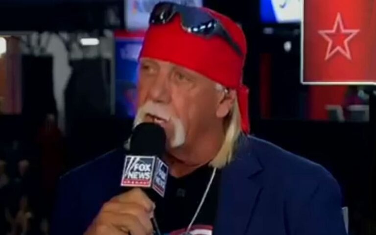 Hulk Hogan Calls Donald Trump His ‘Hero’ at Republican Nationwide Conference