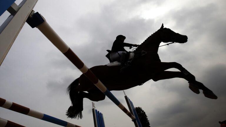 Indian sports activities wrap, December 24: Lakdawala triumphs in Younger Rider showjumping at Jr Nationwide Equestrian C’ship