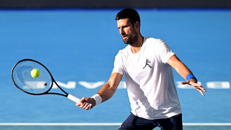 Djokovic requires extra transparency after Sinner, Swiatek doping circumstances