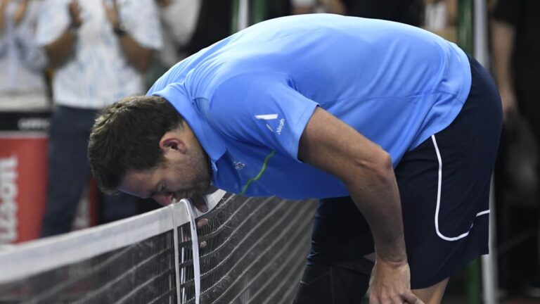 Juan Martin del Potro retires after beating Novak Djokovic in emotional farewell match