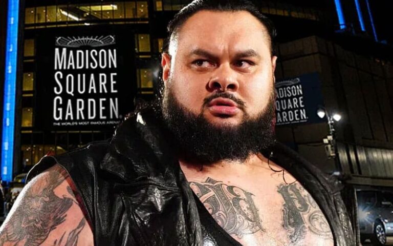 Bronson Reed’s Alternative for MSG Vacation Occasion Revealed