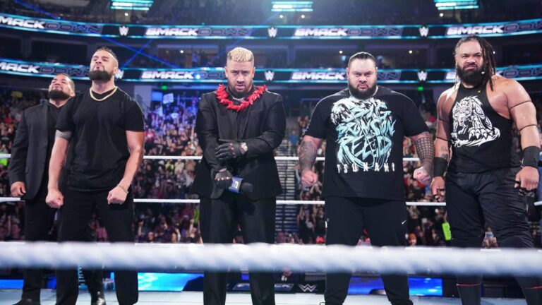 WWE Survivor Collection: WarGames 2024: Dwell stream, begin time, the place to look at on-line, card, matches