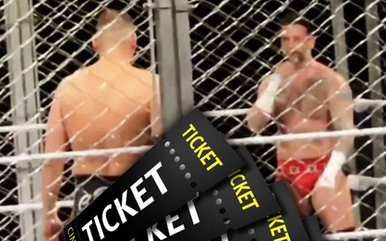 WWE Attracts Large Crowd in Chicago for CM Punk vs. GUNTHER Metal Cage Match