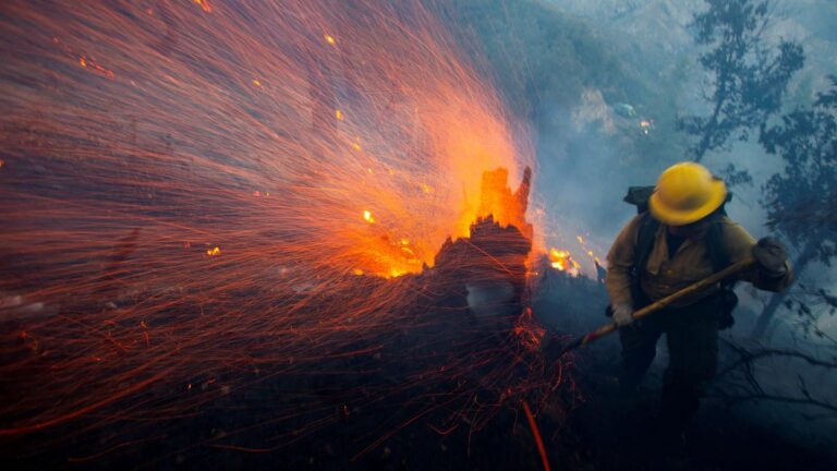 Caifornia Wildfires: How has sports activities been affected by hearth in Los Angeles?