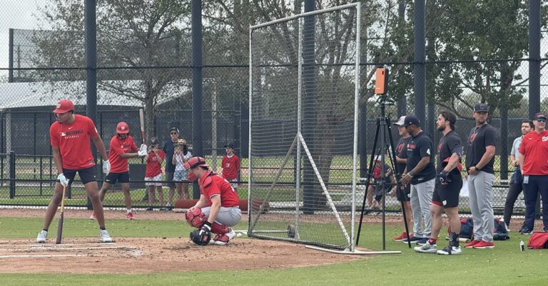 Seeing Baseball By means of a Tiny Lens