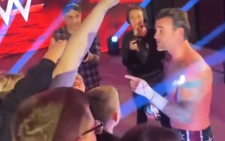 CM Punk Snaps at Fan for Inappropriate Touching Throughout WWE Stay Occasion