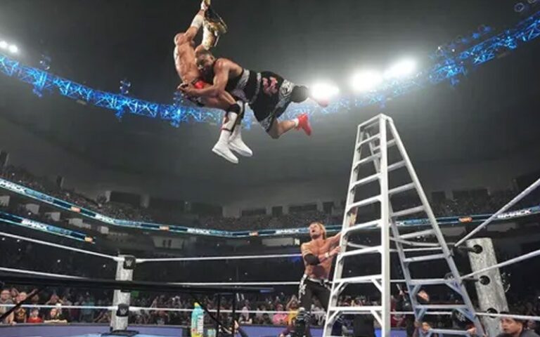 WWE Stars’ Situation After SmackDown’s Wild TLC Match