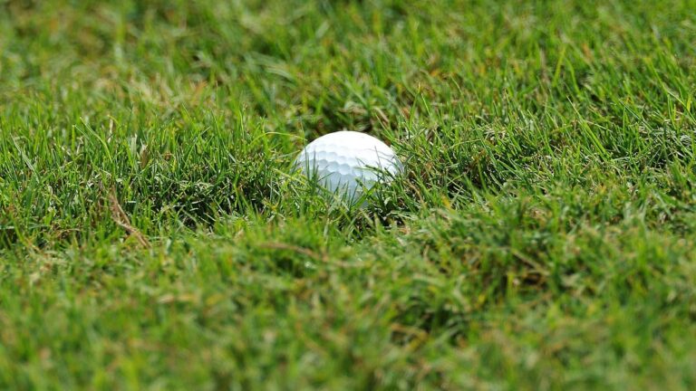 Indian sports activities wrap, Could 14: Zara strikes up in Japan golf match