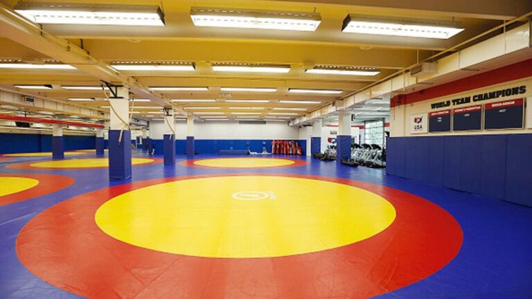 Indian sports activities wrap, June 21: Ladies wrestlers win group title at U23 Asian Championship