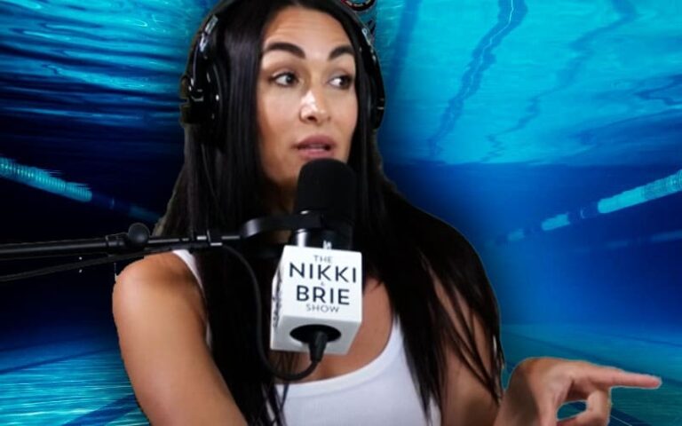 Brie Bella Jumped Into Pool Totally Clothed to Save Her Son After Deep Finish Scare