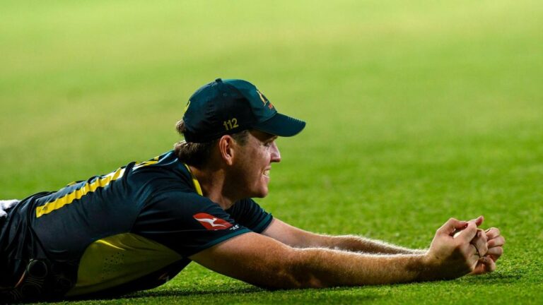 AUS T20 and ODI squad for SA sequence: Mitchell Owen rewarded for nice kind; Hazlewood, Head return