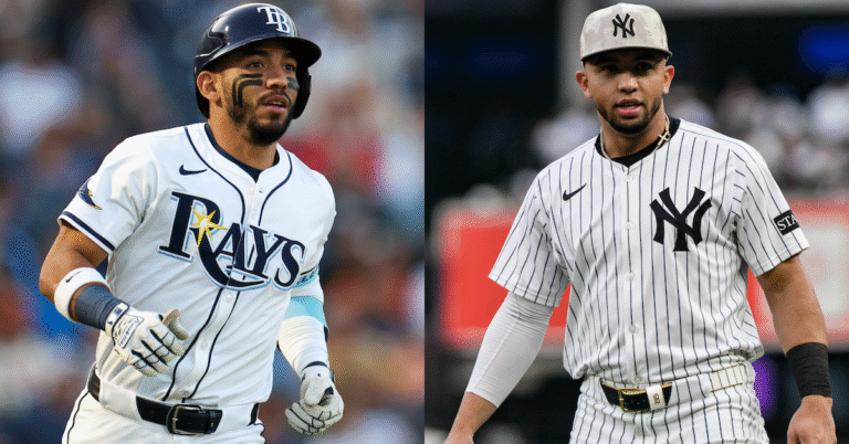 Out With the Previous and in With the New (Utility Infielder) within the Bronx