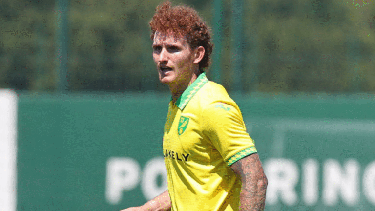 Norwich Metropolis boss Manning pleading for “high class” Josh Sargent to remain