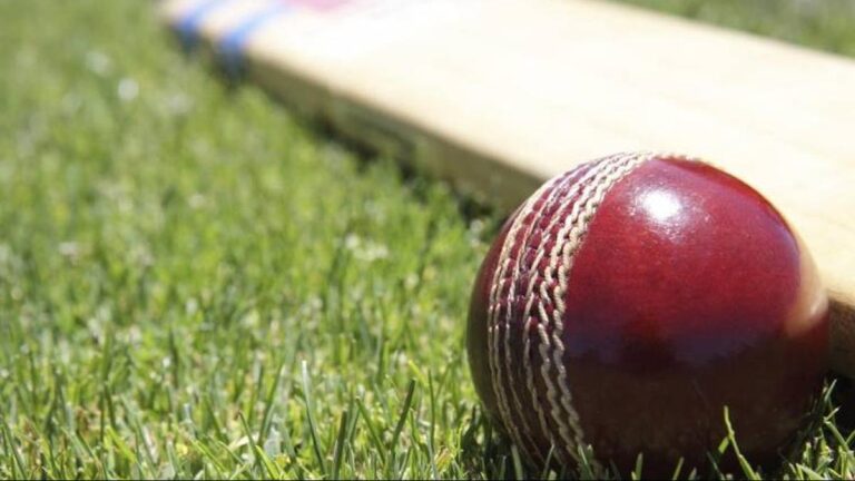 English cricket determine beneath police probe for alleged drink spiking, sexual assault