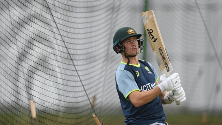 AUS vs IND: Labuschagne replaces Inexperienced in Australia ODI squad towards India