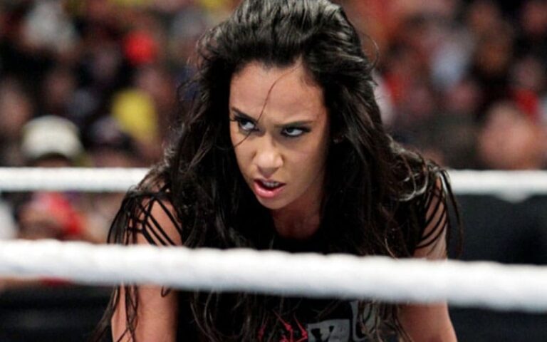 Pretend AJ Lee Account Dupes WWE Followers With False Damage Replace and Comeback Declare