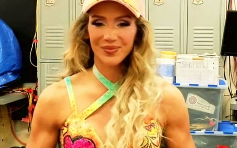 Charlotte Aptitude Open to Pursuing Singles Gold After WWE Survivor Sequence: WarGames