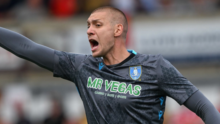 Ethan Horvath’s mortgage spell with Sheffield Wednesday ends