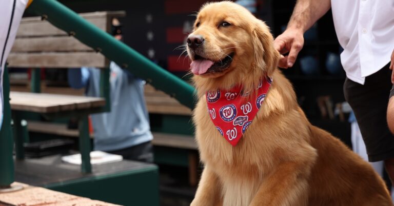 FanGraphs Weekly Mailbag: February 14, 2025