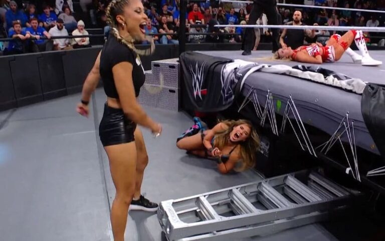 Lola Vice Suffers Brutal Ladder Assault Throughout Ladies’s North American Title Match On 2/3 NXT