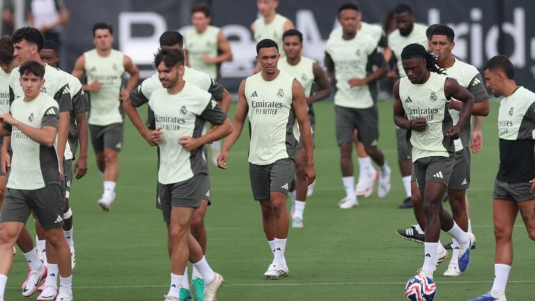 Crystal Palace provided probability to signal Actual Madrid star after talks with reps