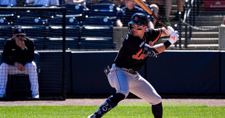 Detroit Tigers Prime 47 Prospects