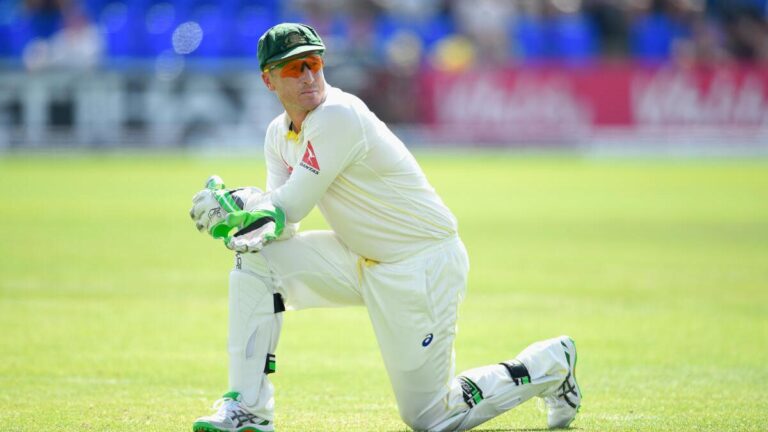 Former Australian Check wicketkeeper Brad Haddin appointed New South Wales coach