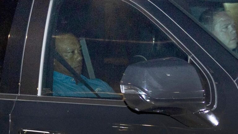 Tiger Woods turns down Ryder Cup captain’s job and seeks therapy out of nation