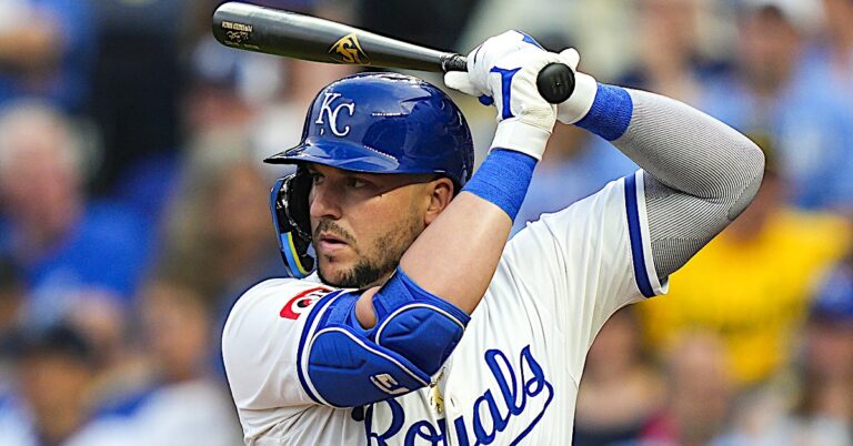 What Do Hitters See, and When Do They See It?