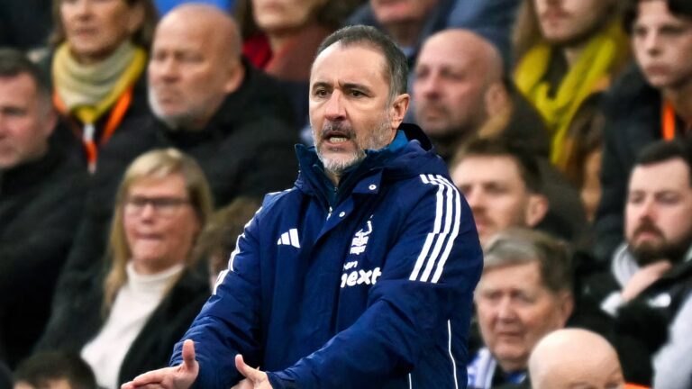 Vitor Pereira personally desires Nottingham Forest to signal ‘thrilling’ Wolves star