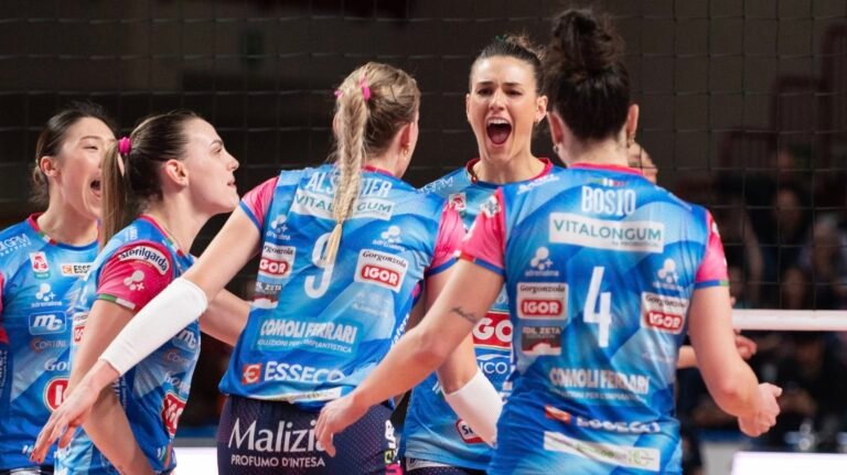 Profitable the Recreation Above the Internet: A Take a look at Fashionable Skilled Volleyball Legislation